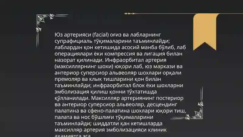 Тишларнинг кон таъминоти ва клиник ахамияти 4
