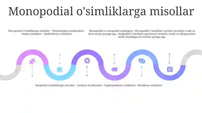 Monopodial Va Simpodial Tópgullar 4