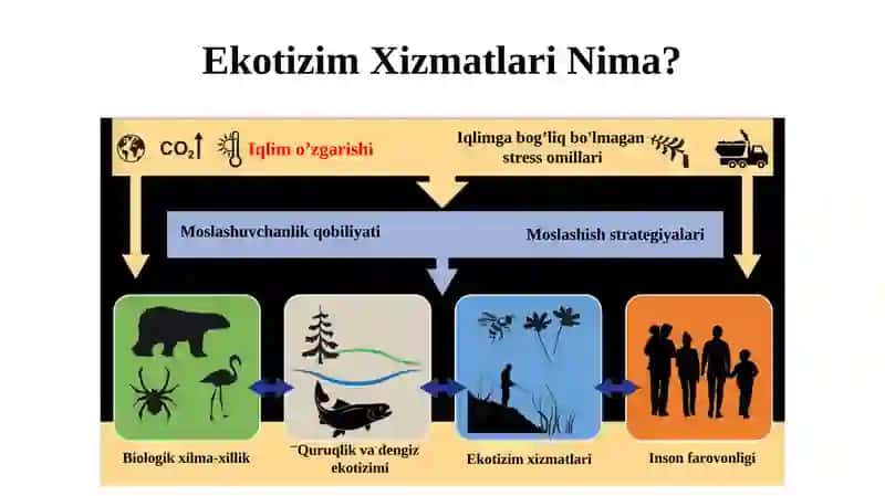 RAQAMLI TUPROQ KARTOGRAFIYASI 4