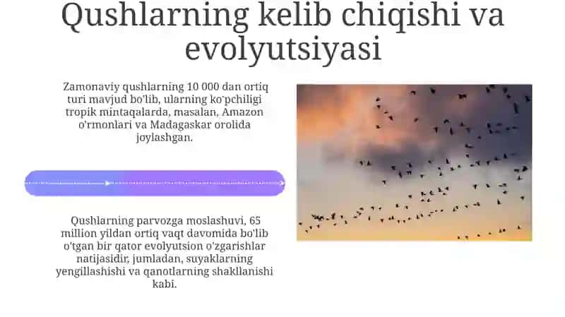 Qushlarning kelib chiqishi va evolyutsiyasi 4