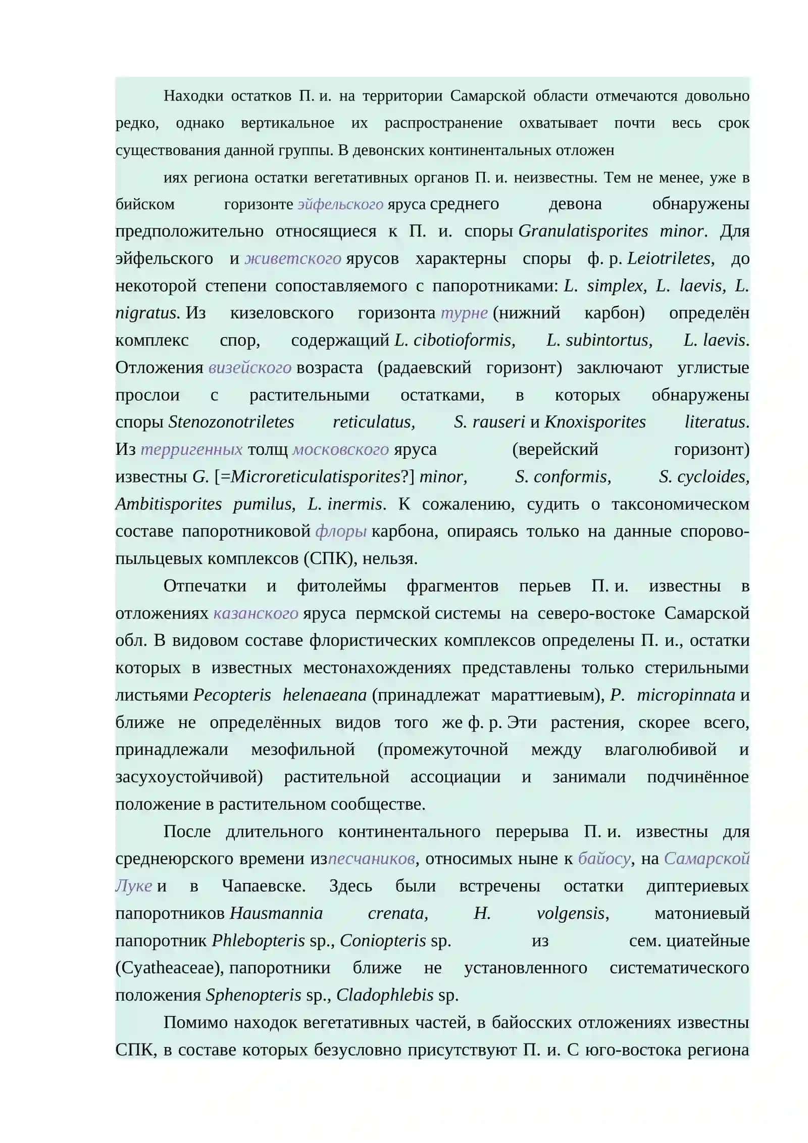 Папоротники ископаемые 4