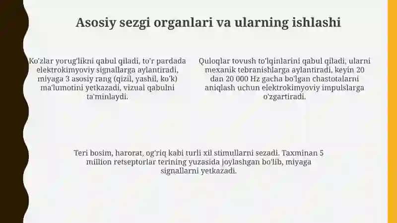 Insonning sezgi organlari 4