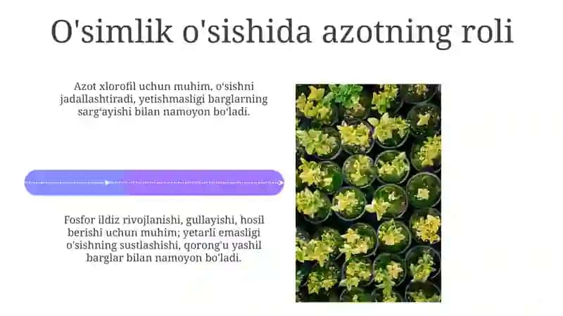 Azot, fosfor va kaliy nutqida 4