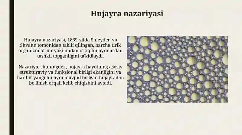 Hujayra tuzilishi 4