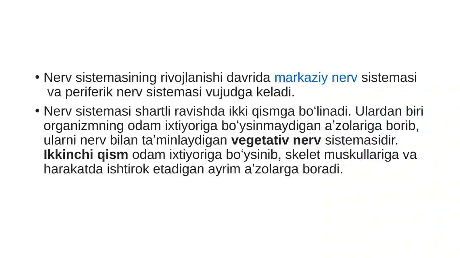 Asab tizimi tuzilishi 4