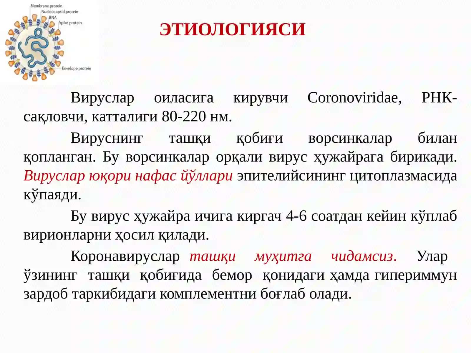 Коронавирусли инфекция (КВИ) 4