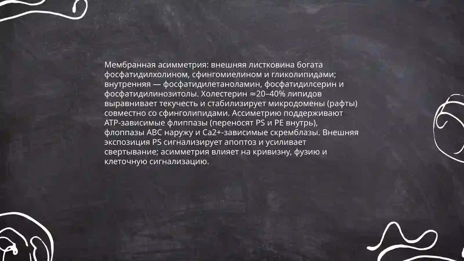 Биология клеток 4