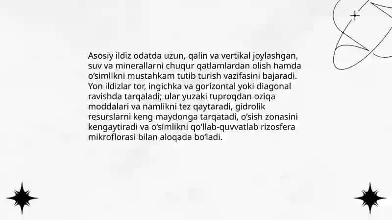 tok ildizining marfalogiyasi 4
