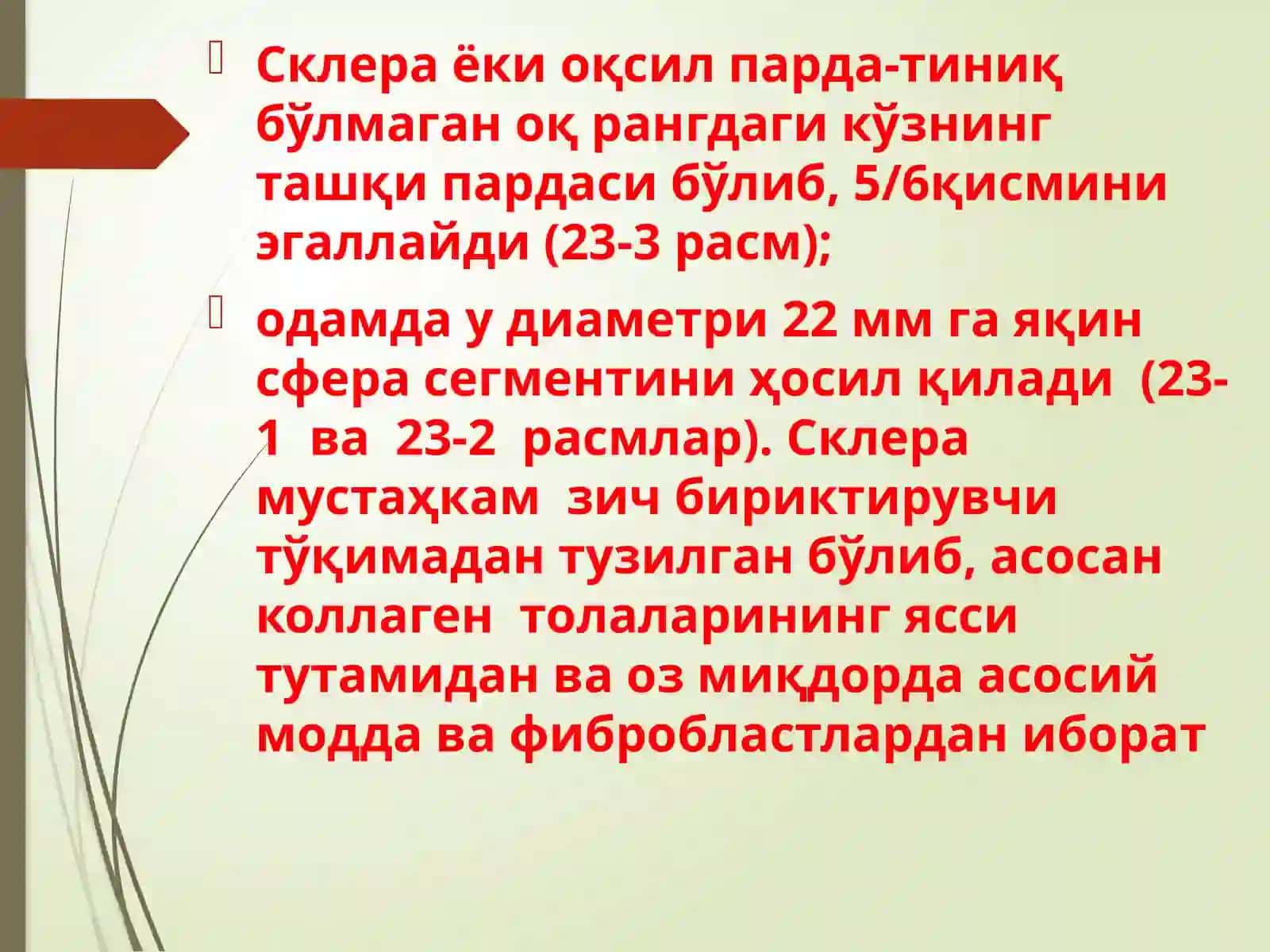 Fotoretsipsiyaning morfologik asoslari 4