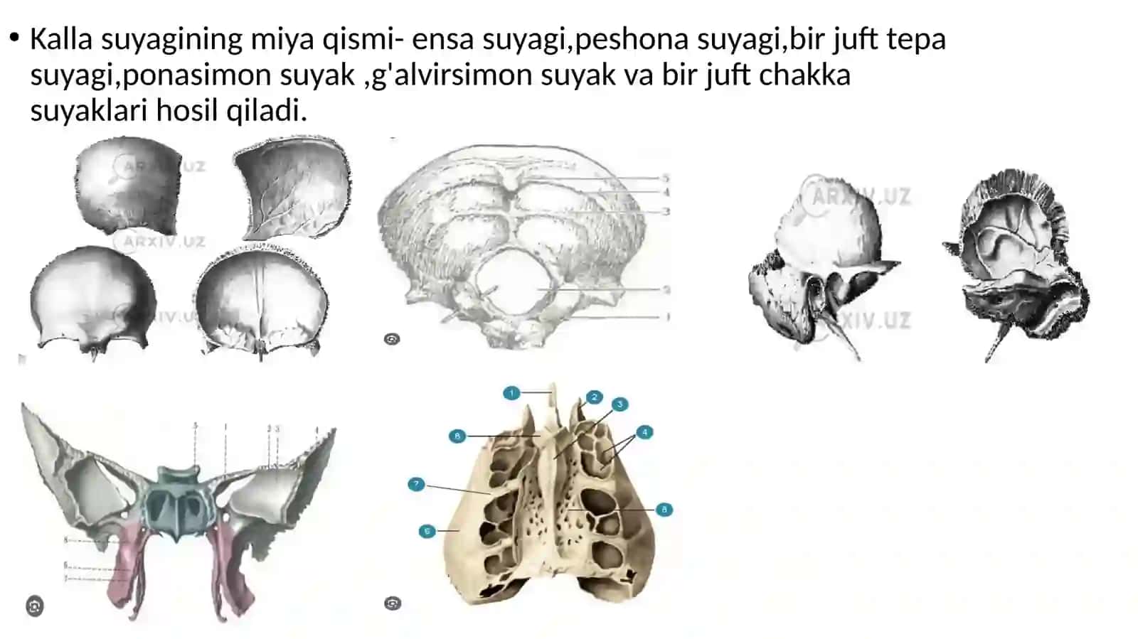 Kalla suyagi 4