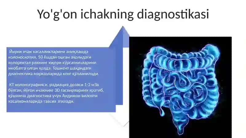 Yo'g'on ichaklar 4