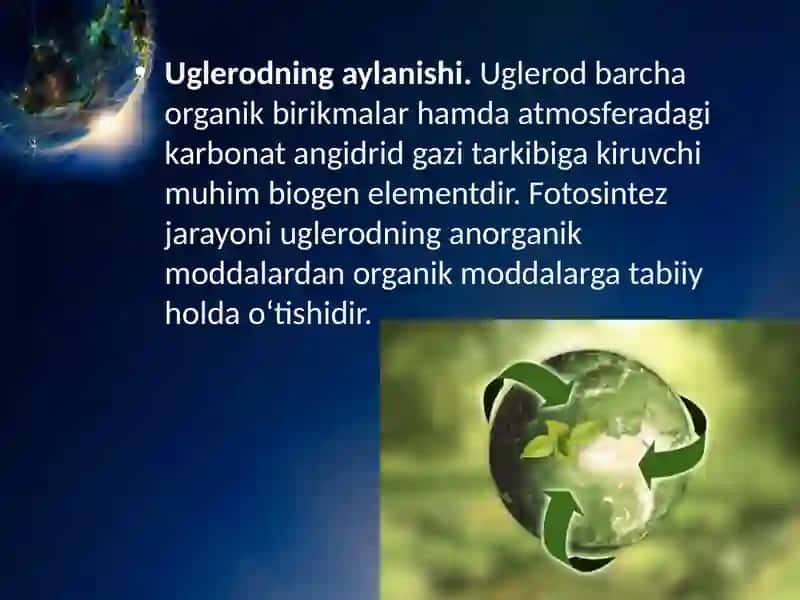Biogeo kimyoviy sikl 4