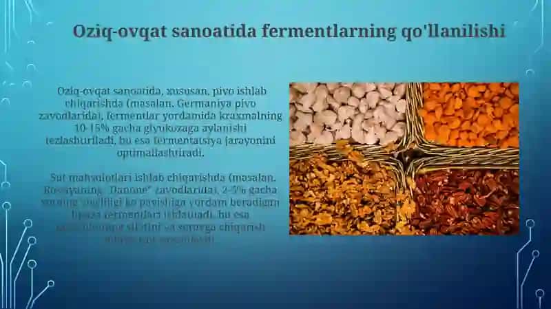 Fermentlarning oziq-ovqat sanoatida xossalari va qiymati 4