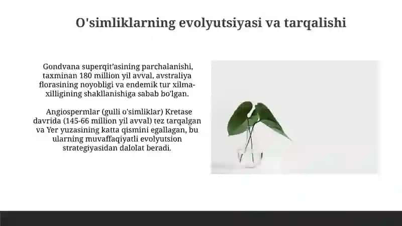 O’simliklar geografiyasi asoslari 4