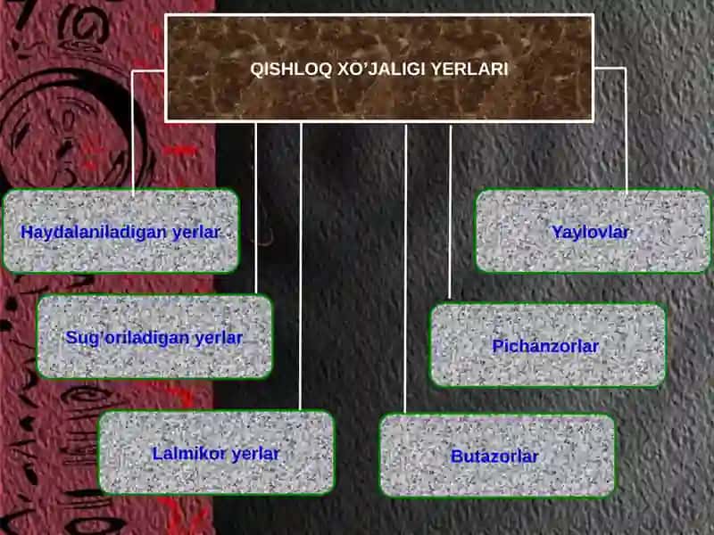 Qishloq xo’jaligiga ajratilgan yerlar 4