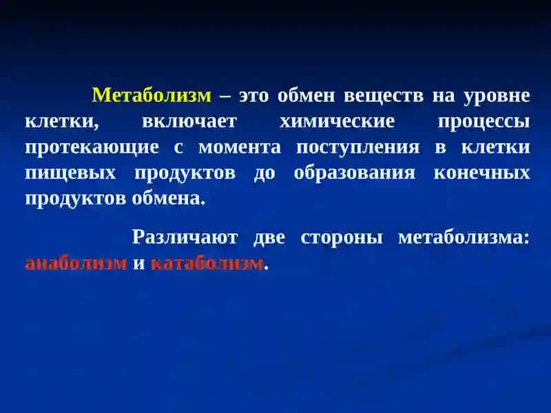 Биология химия 4
