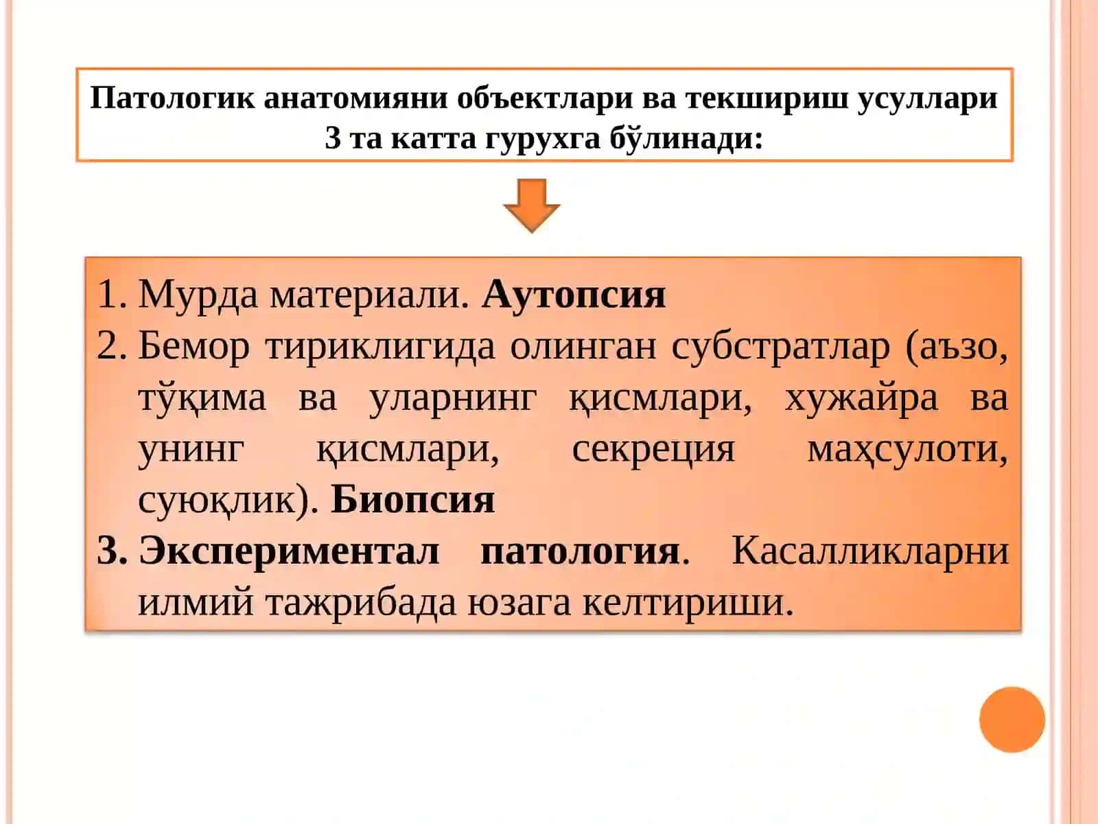 Патология 4