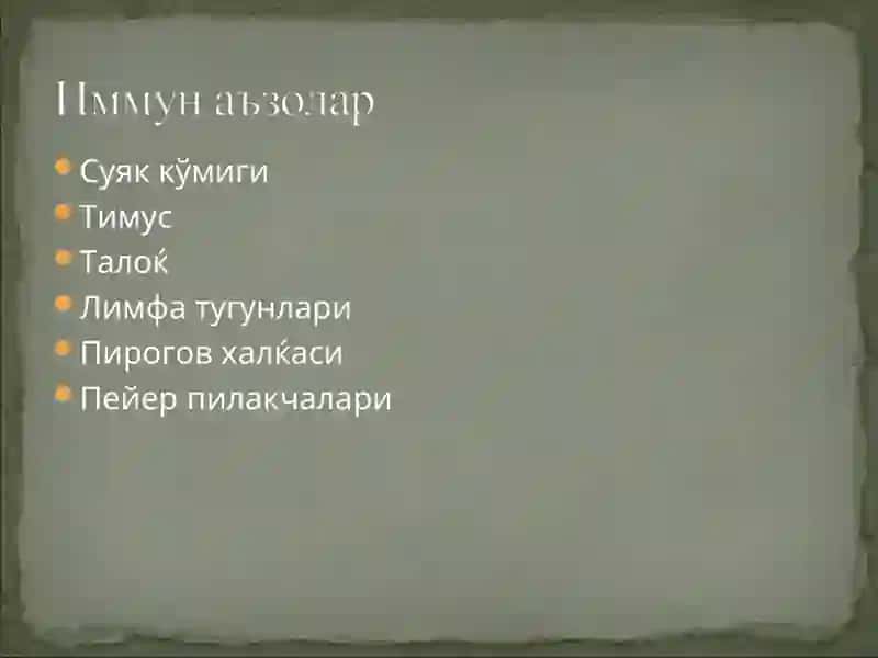 Иммун тизим 4