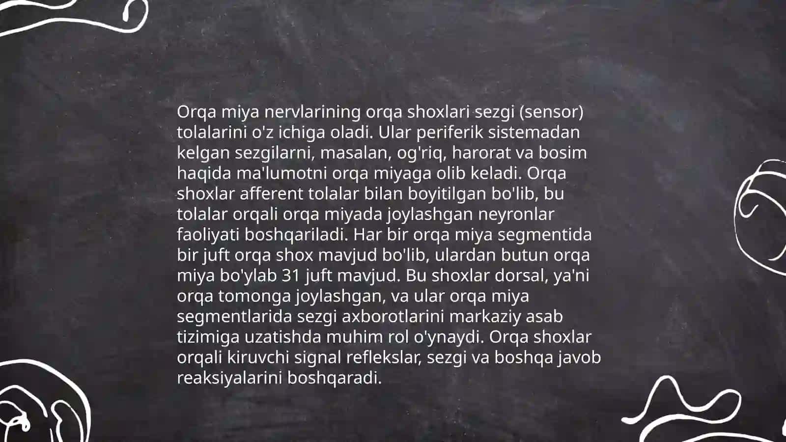 Orqa miya nervlari 4