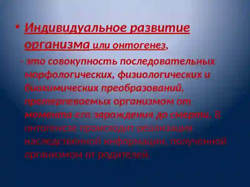 Биология развития 4