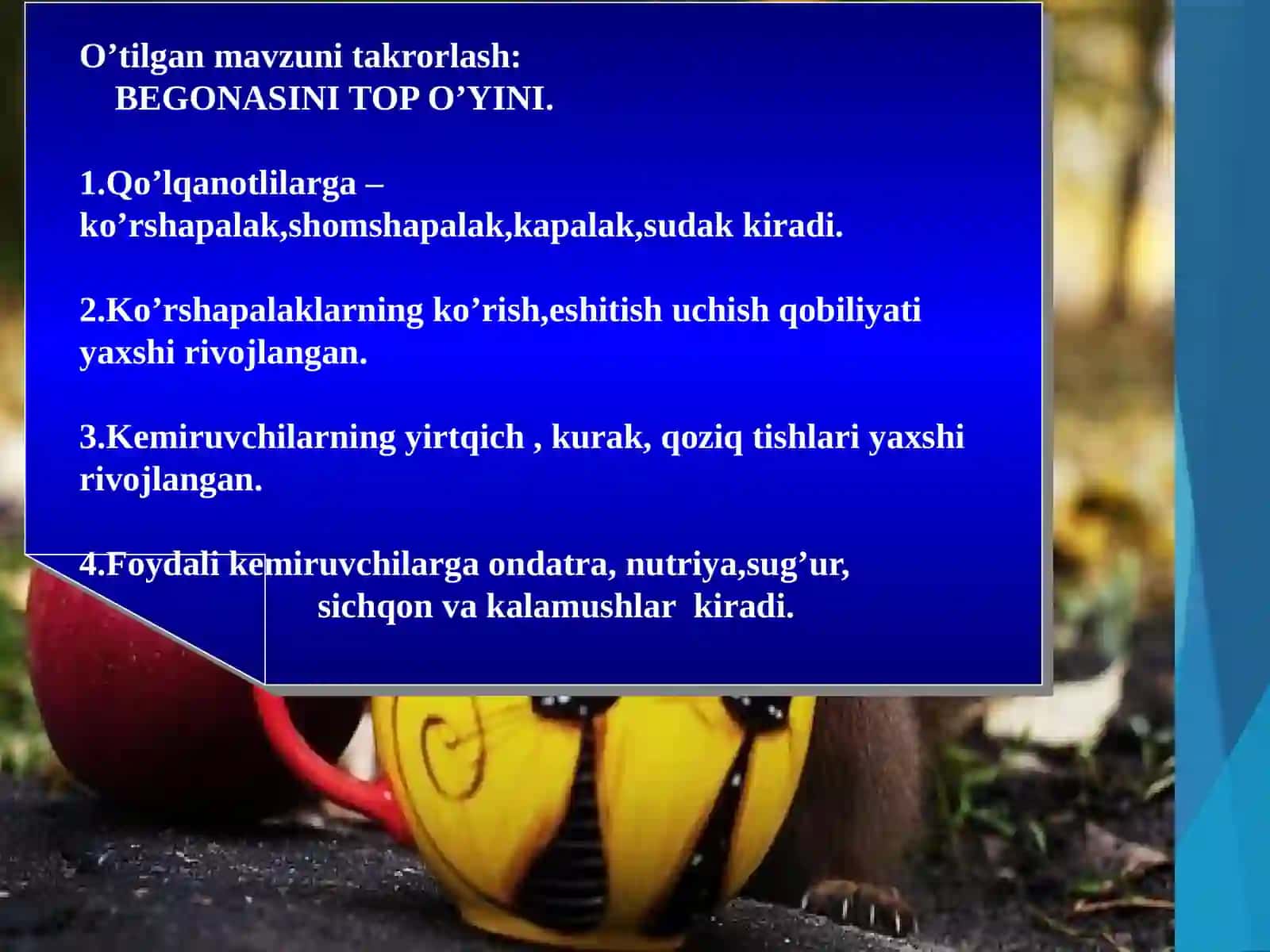 YIRTQICH SUTEMIZUVCHILAR TURKUMI 4