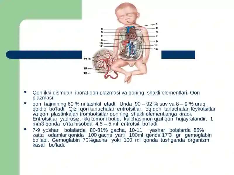 Yosh xususiyatlariva gigiyenasi 4