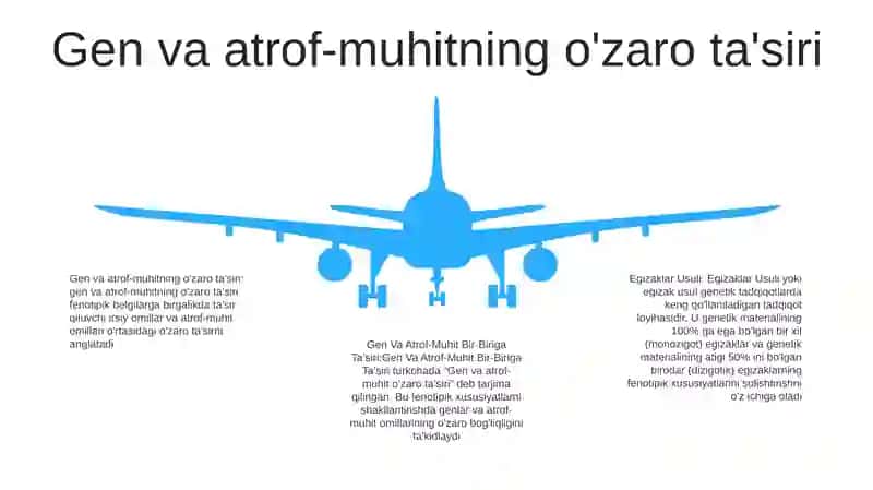 Egizaklar Usuli, Gen Va Atrof-Muhit Bir-Biriga Ta’Siri 4
