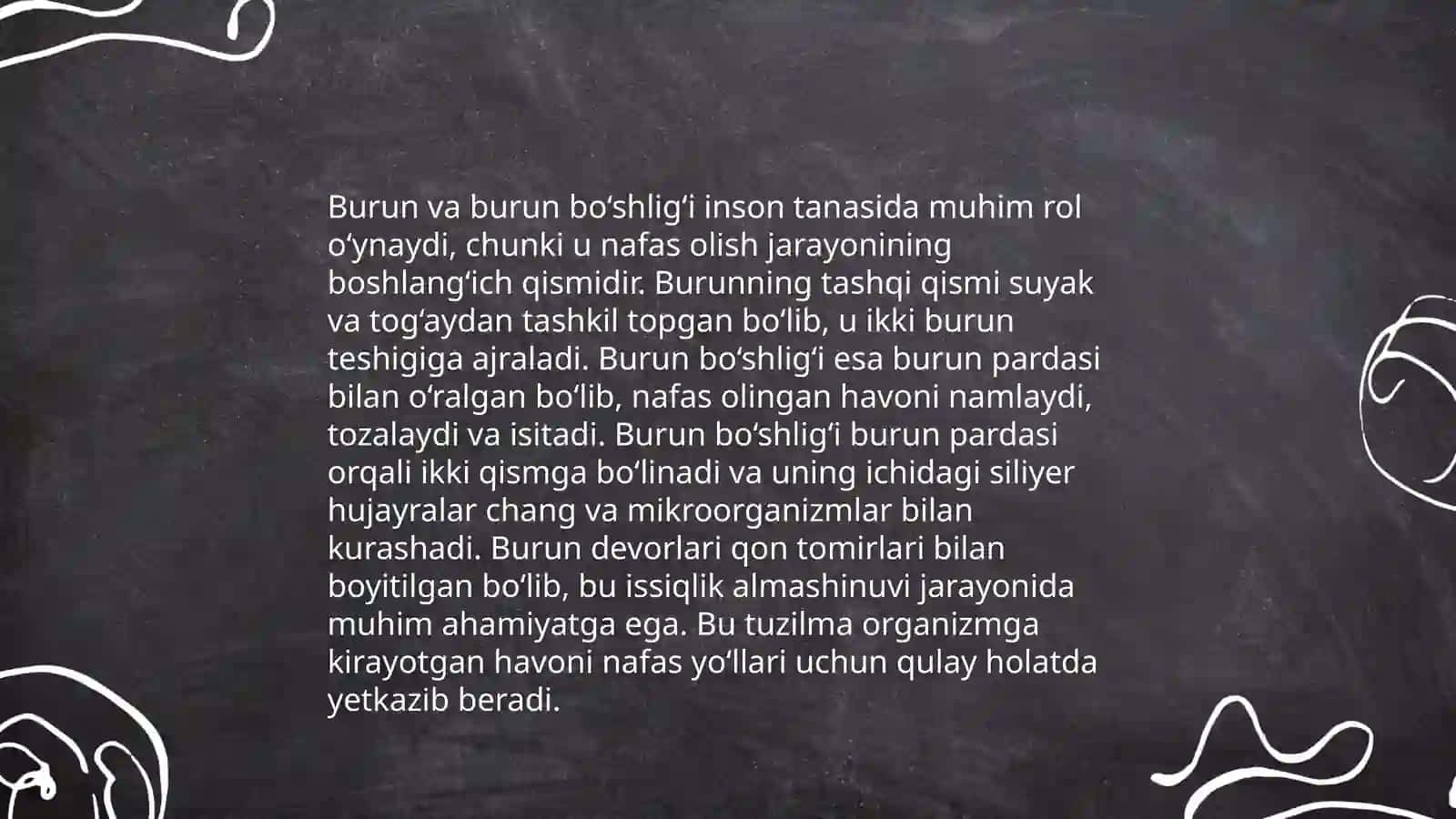 Nafas aʼzolarining tuzilishi 4