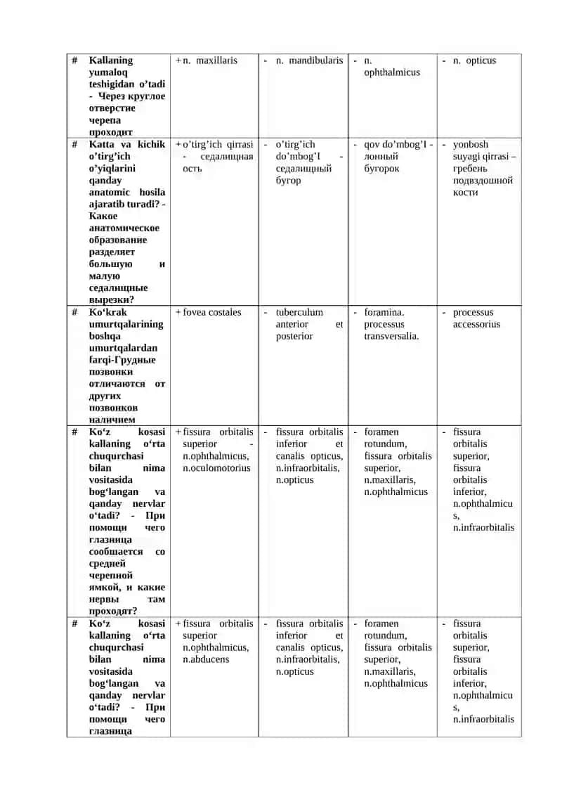 Bilak suyagi anatomiya 4