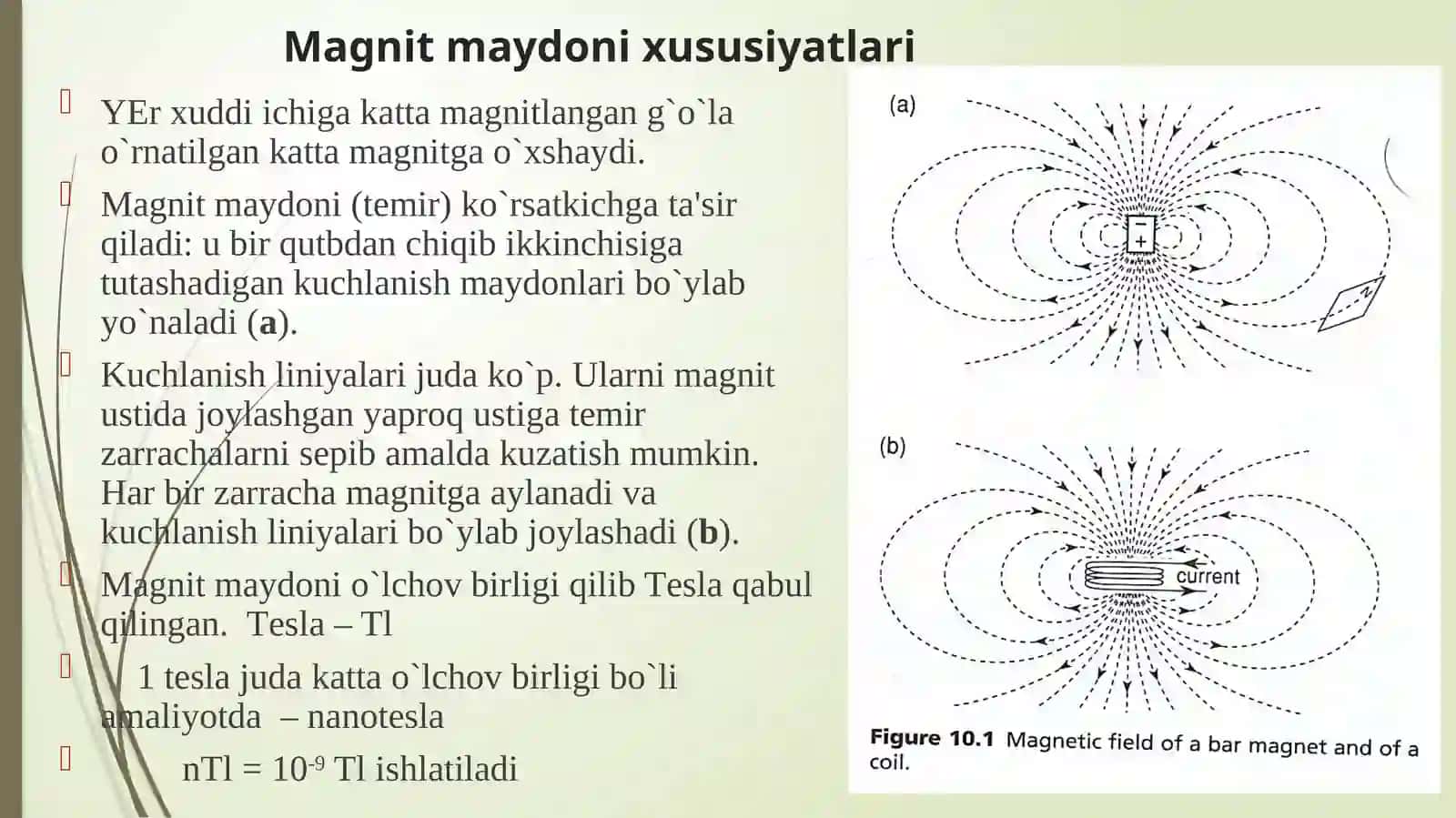Yеrning magnitmaydoni 4