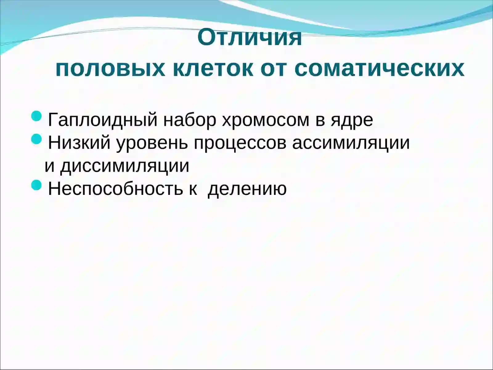 Эмбриология 4