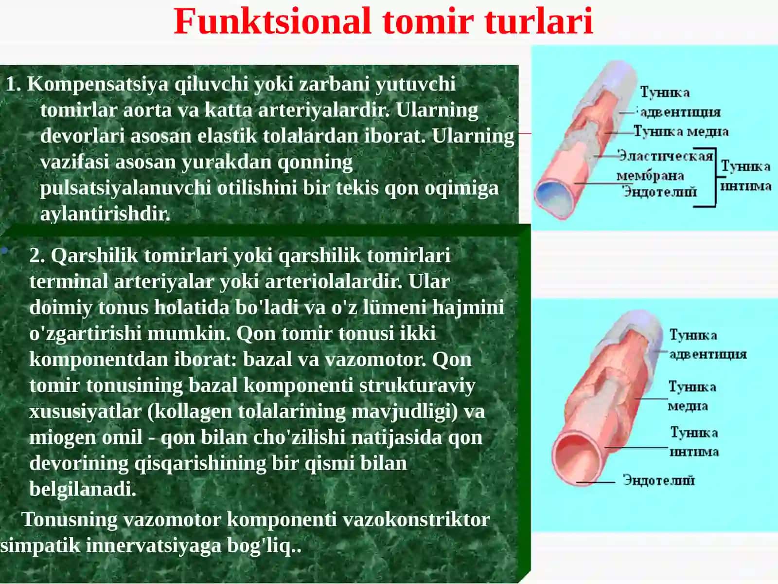 Periferik qon aylanishining buzilishi 4