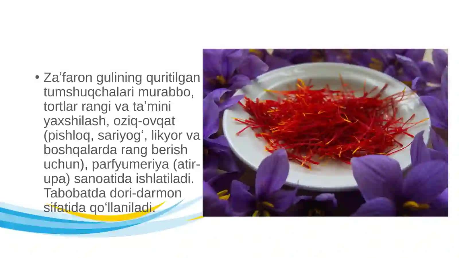 Zafaronning dorivorlik xususiyatlari 4