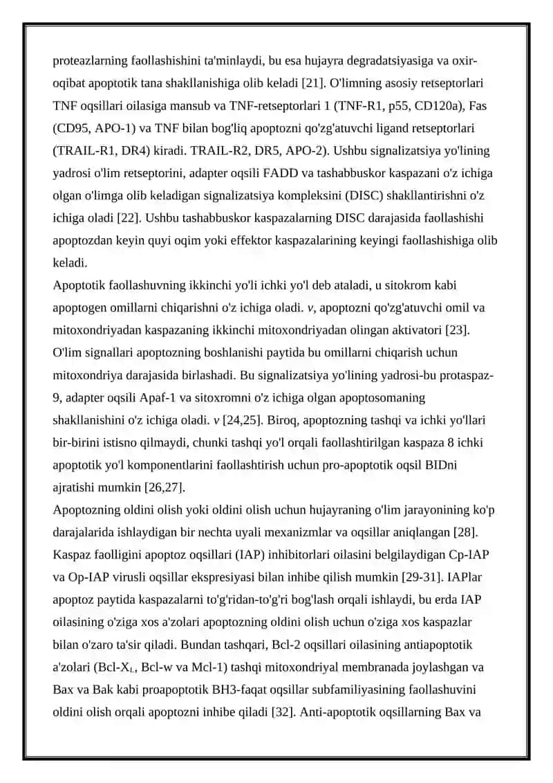 HUJAYRA APOPTOZI 4