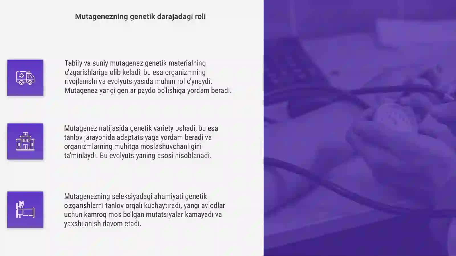 Tabiiy va suniy mutagenez va uning seleksiyadagi ahamiyati 4