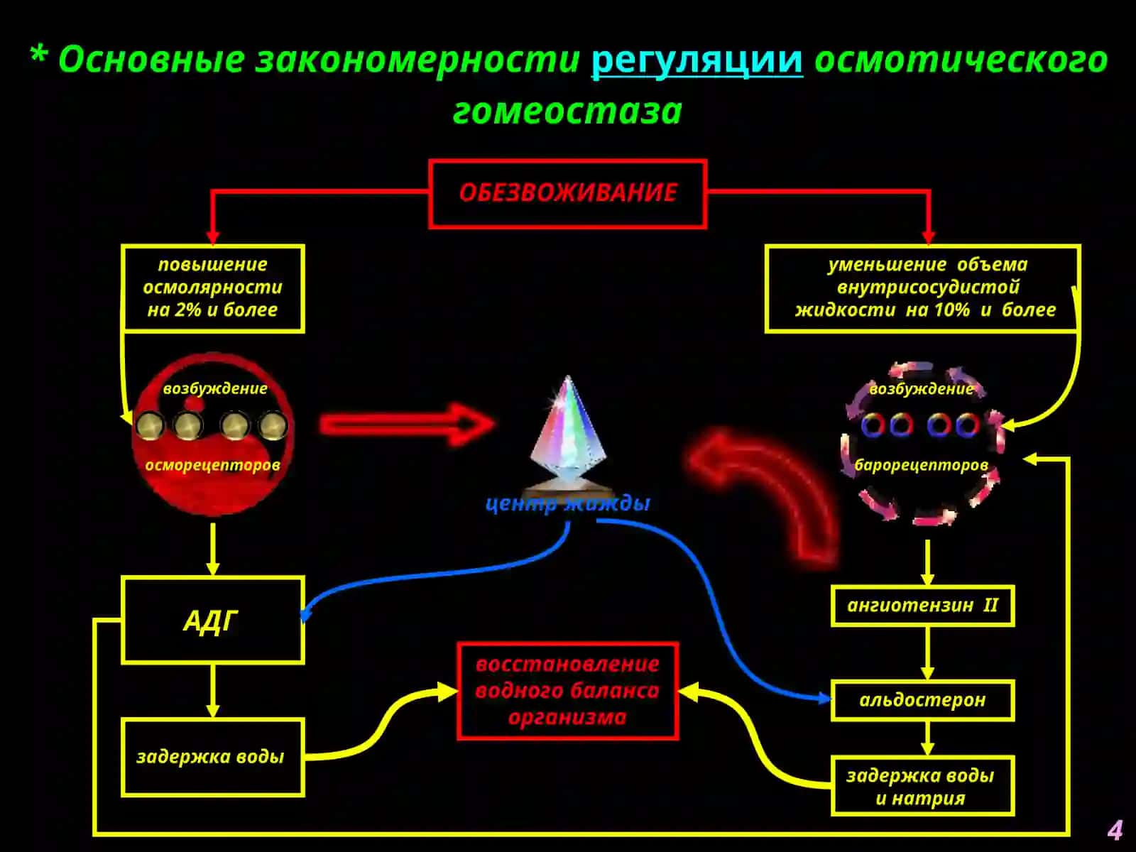 Нарушения обмена воды 4