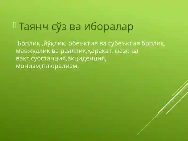 Борлиқ (фалсафий таҳлил) 4