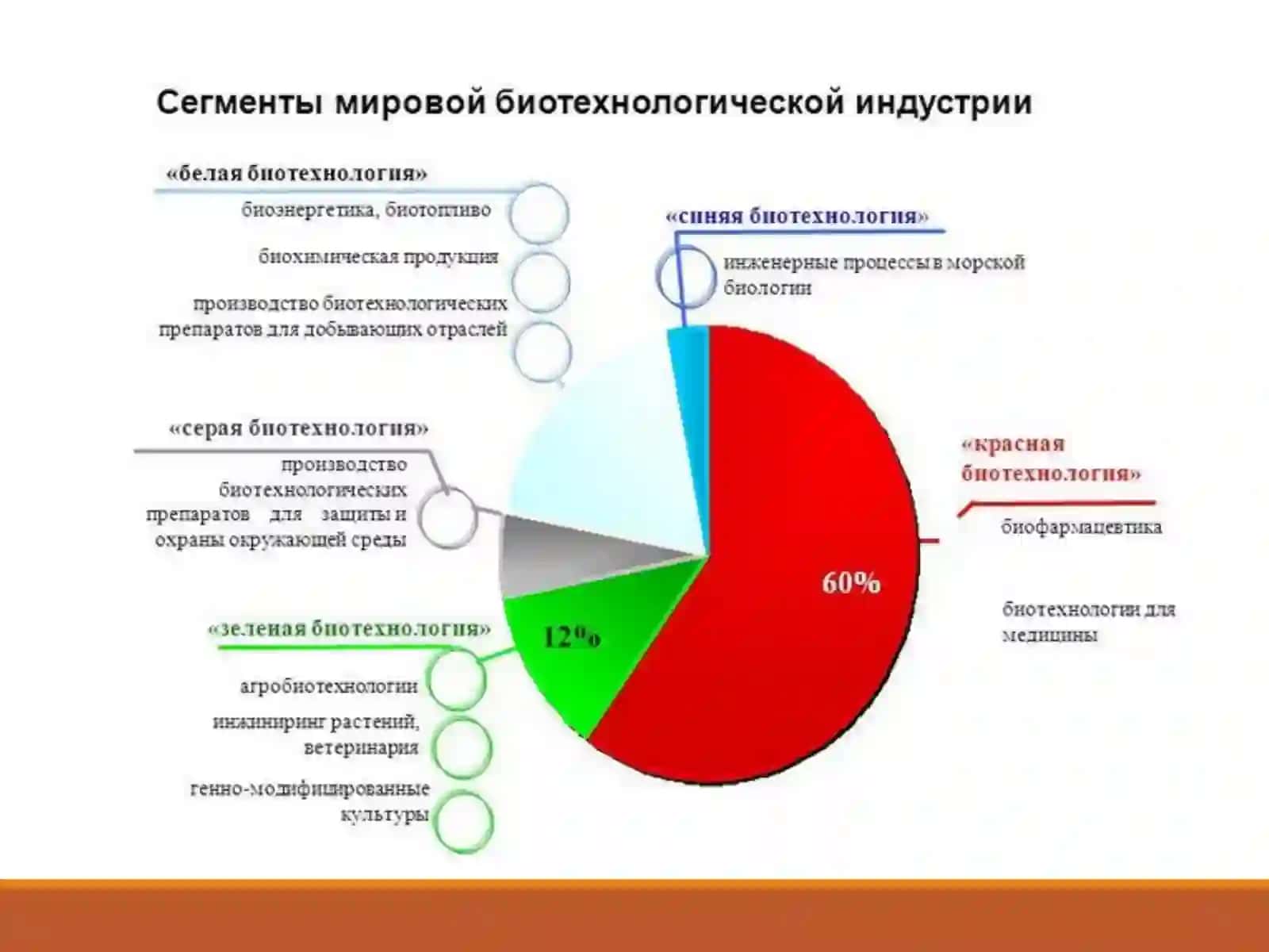 Достижения и перспективы современной биотехнологии. 4