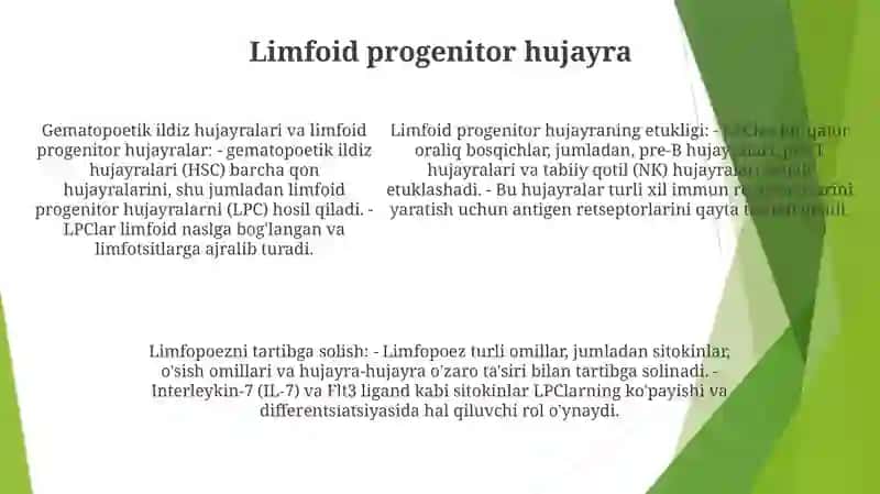 Limfotsitopoezning Hususiyatlari 4