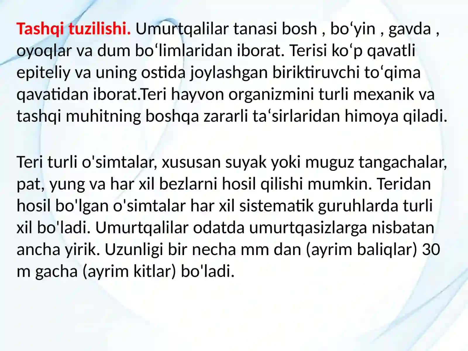 Umurtqalilar kenjatipi 4
