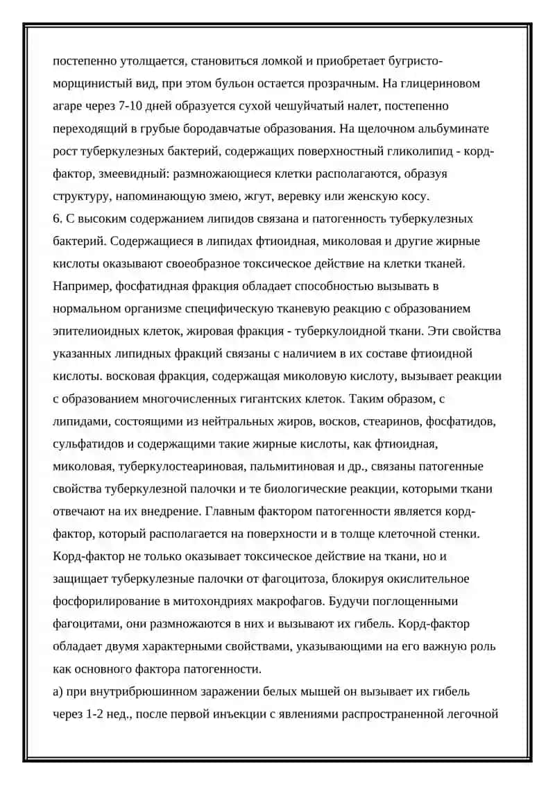 Туберкулез 4