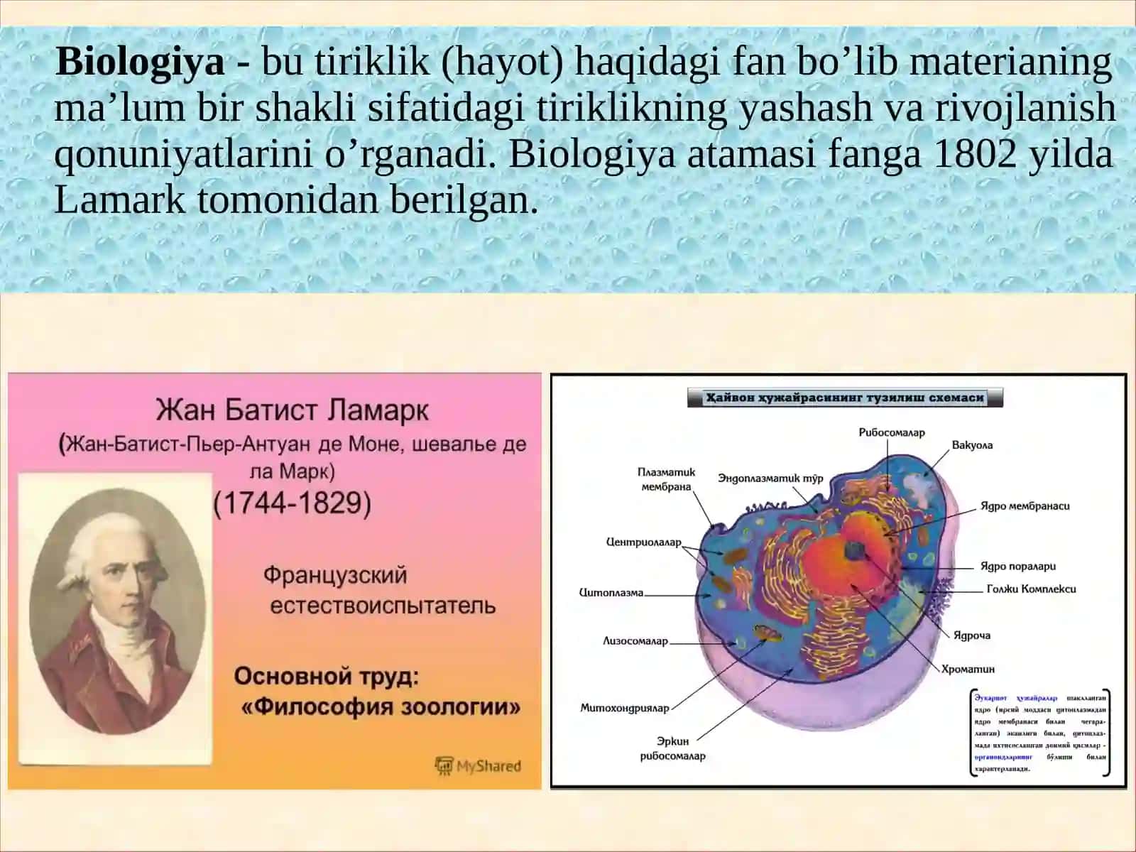 BIOLOGIYA 4