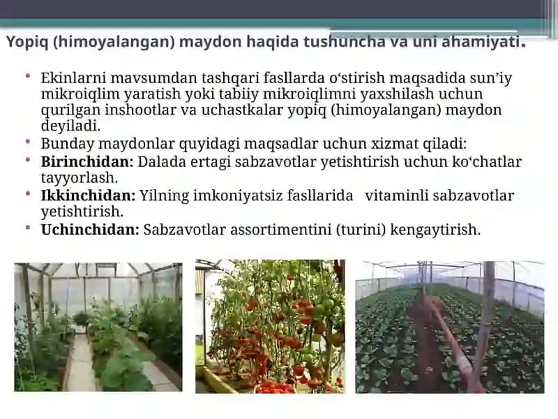 HIMOYALANGAN YERLAR TURLARI TAVSIFI 4
