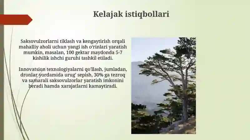 Markaziy Osiyoning saksavulzorlari 4