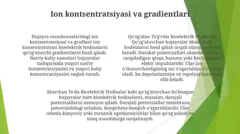Qo'Zg'Aluvchan To'Qimalarda Bioelektrik Hodisalar 4