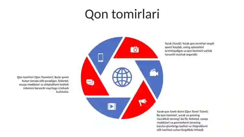 Yurak Qon Tomir Tizimi 4