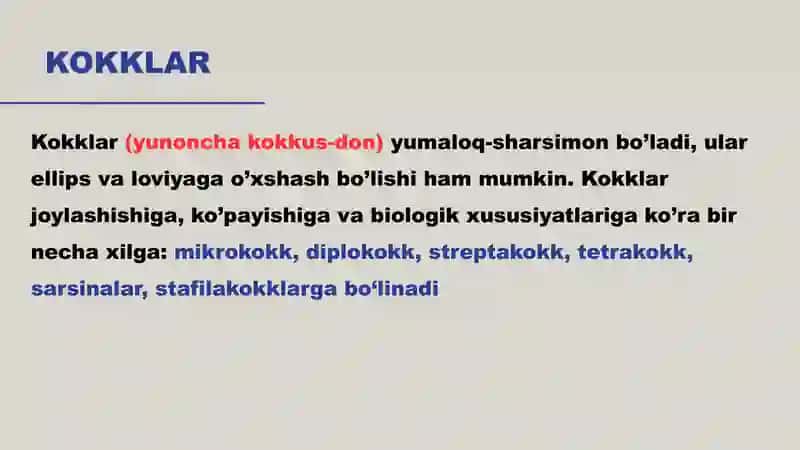 Bakteriya hujayrasining tuzulishi 4