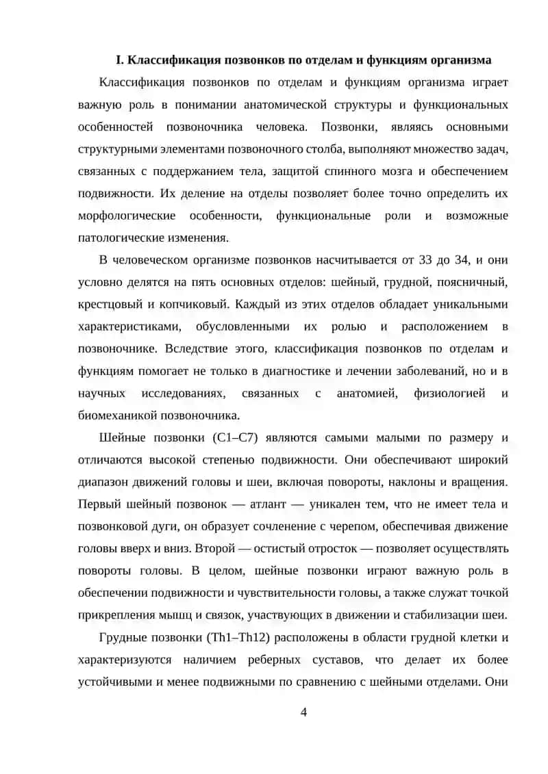 Анатомия и строение позвонков 4