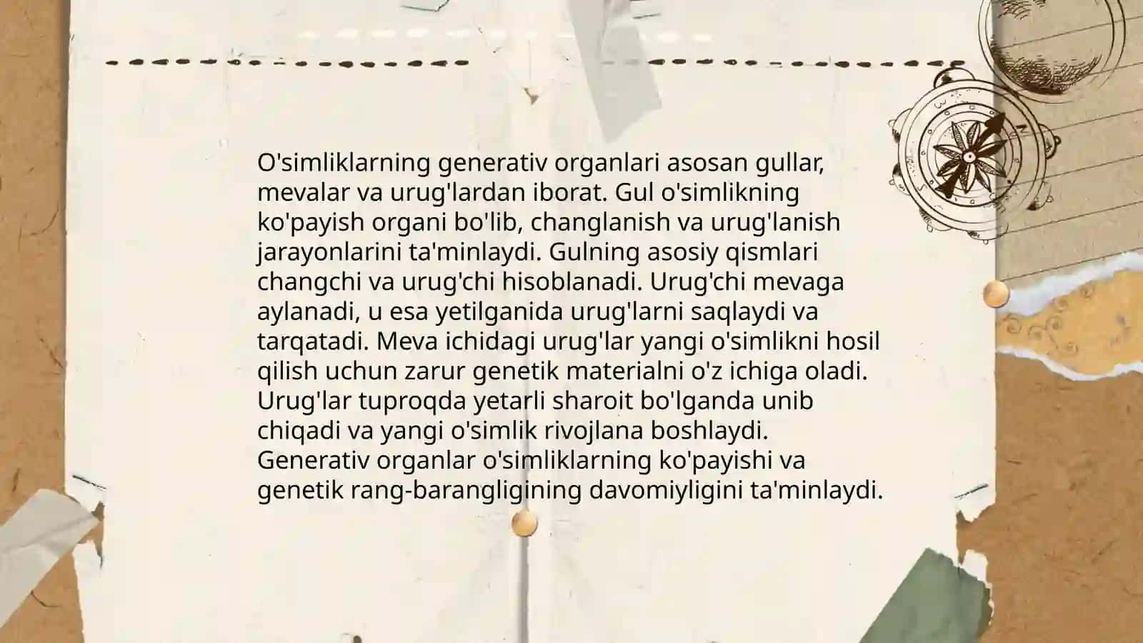 O'simliklar ekologiyasi 4