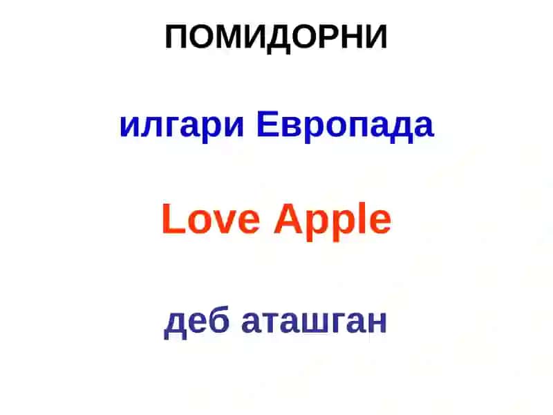 ПОМИДОР 4